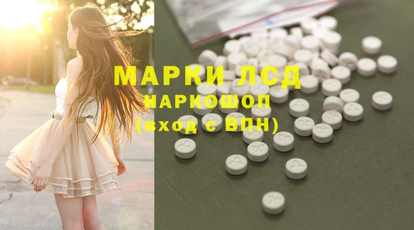 прущие грибы Алексеевка