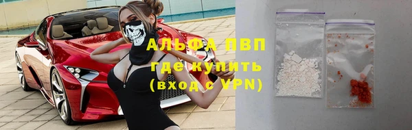 прущие грибы Алексеевка