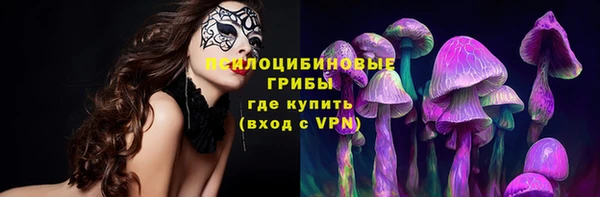прущие грибы Алексеевка