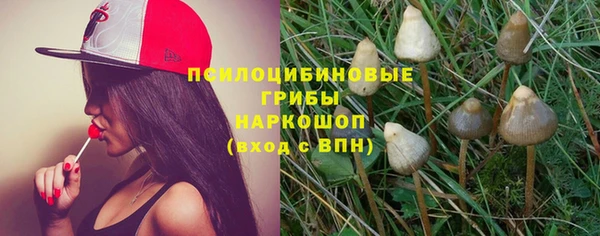 прущие грибы Алексеевка